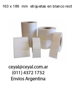 163 x 186  mm  etiquetas en blanco rectangulares