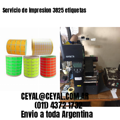 Servicio de impresion 3825 etiquetas