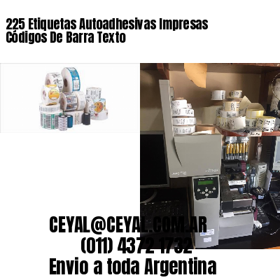 225 Etiquetas Autoadhesivas Impresas Códigos De Barra Texto