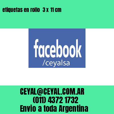 etiquetas en rollo  3 x 11 cm