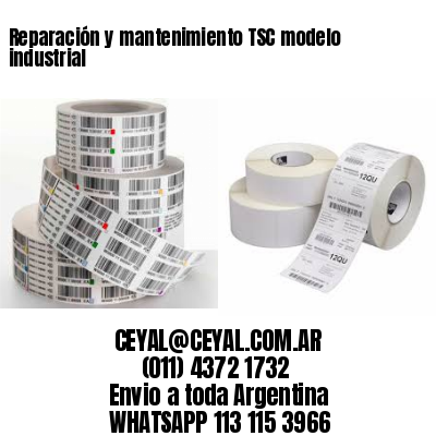 Reparación y mantenimiento TSC modelo industrial