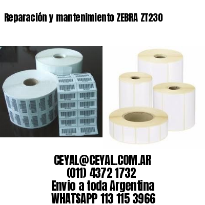 Reparación y mantenimiento ZEBRA ZT230
