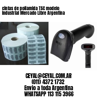 cintas de poliamida TSC modelo industrial Mercado Libre Argentina