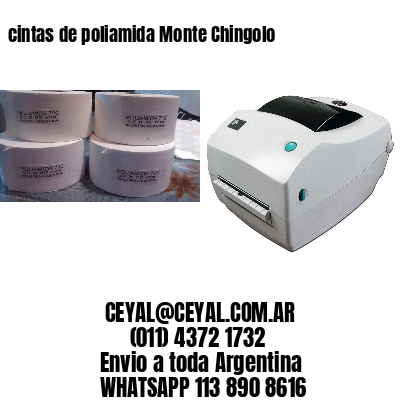 cintas de poliamida Monte Chingolo