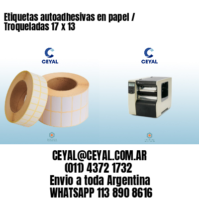 Etiquetas autoadhesivas en papel / Troqueladas 17 x 13