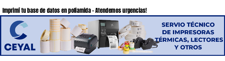 Imprimí tu base de datos en poliamida - Atendemos urgencias!