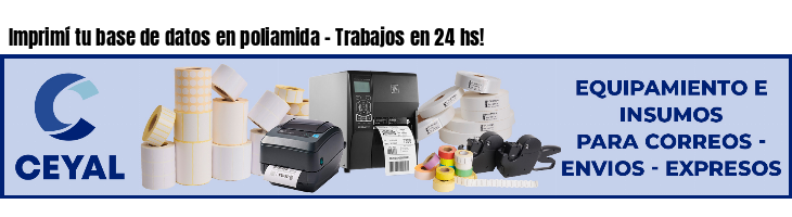 Imprimí tu base de datos en poliamida - Trabajos en 24 hs!