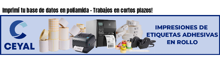 Imprimí tu base de datos en poliamida - Trabajos en cortos plazos!