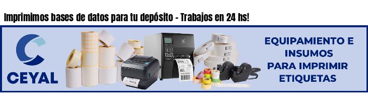 Imprimimos bases de datos para tu depósito - Trabajos en 24 hs!