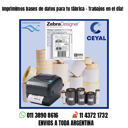 Imprimimos bases de datos para tu fábrica – Trabajos en el día!
