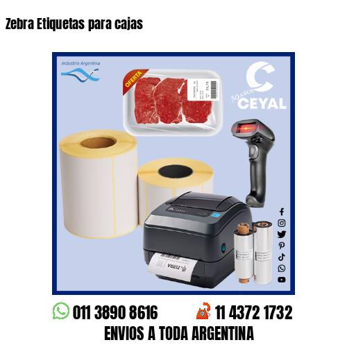 Zebra Etiquetas para cajas