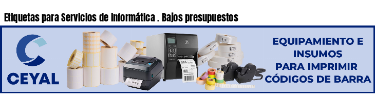 Etiquetas para Servicios de informática . Bajos presupuestos