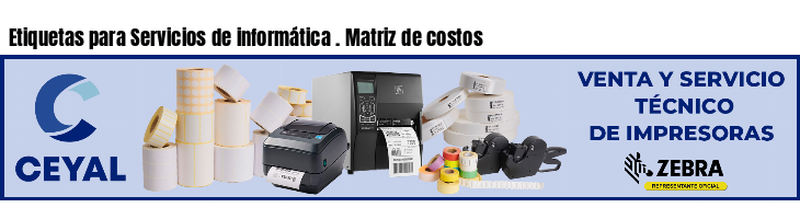 Etiquetas para Servicios de informática . Matriz de costos