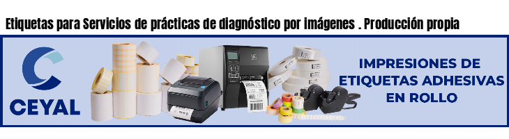 Etiquetas para Servicios de prácticas de diagnóstico por imágenes . Producción propia