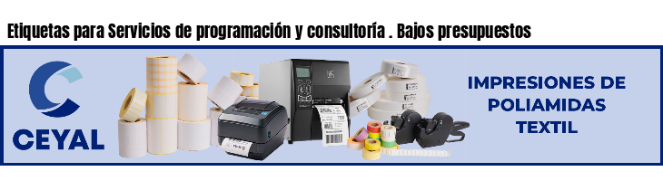 Etiquetas para Servicios de programación y consultoría . Bajos presupuestos