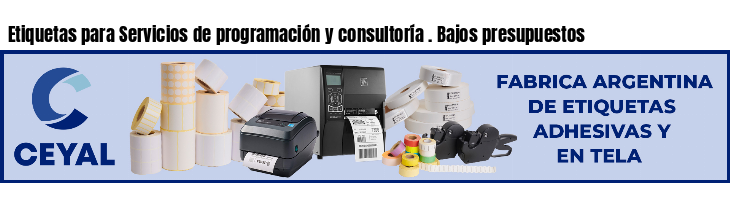 Etiquetas para Servicios de programación y consultoría . Bajos presupuestos