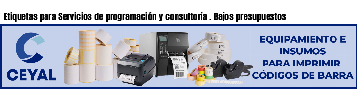 Etiquetas para Servicios de programación y consultoría . Bajos presupuestos