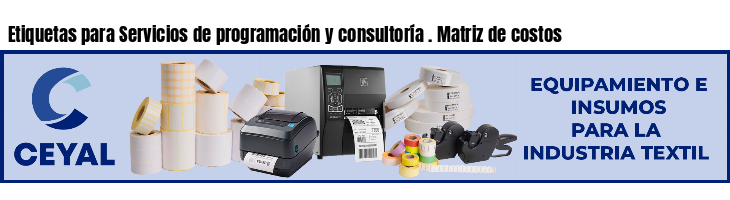 Etiquetas para Servicios de programación y consultoría . Matriz de costos