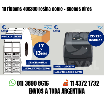 10 ribbons 40x300 resina doble - Buenos Aires
