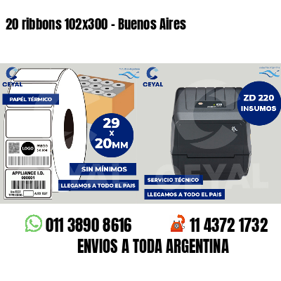 20 ribbons 102x300 - Buenos Aires