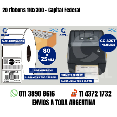 20 ribbons 110x300 - Capital Federal