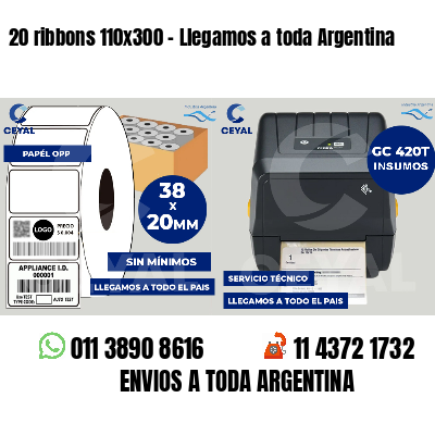 20 ribbons 110x300 - Llegamos a toda Argentina