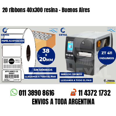 20 ribbons 40x300 resina - Buenos Aires