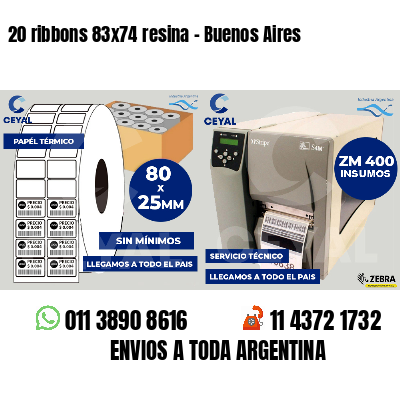 20 ribbons 83x74 resina - Buenos Aires