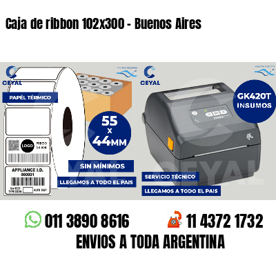 Caja de ribbon 102x300 - Buenos Aires