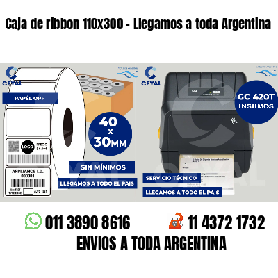 Caja de ribbon 110x300 - Llegamos a toda Argentina