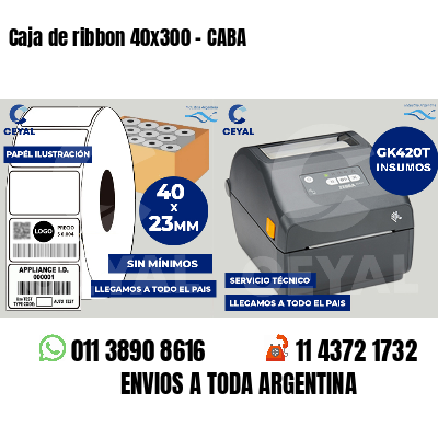 Caja de ribbon 40x300 - CABA
