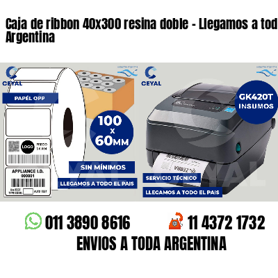 Caja de ribbon 40x300 resina doble - Llegamos a toda Argentina
