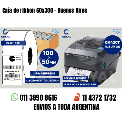 Caja de ribbon 60x300 - Buenos Aires