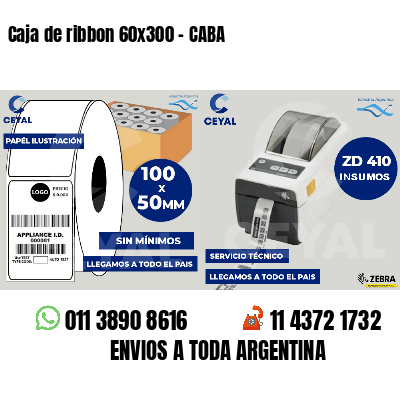 Caja de ribbon 60x300 - CABA