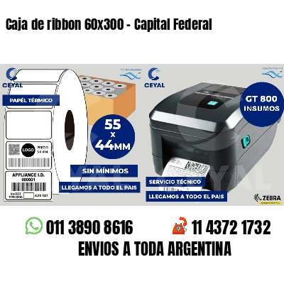 Caja de ribbon 60x300 - Capital Federal