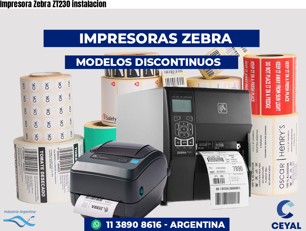 Impresora Zebra ZT230 instalacion