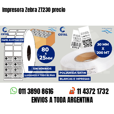 Impresora Zebra ZT230 precio