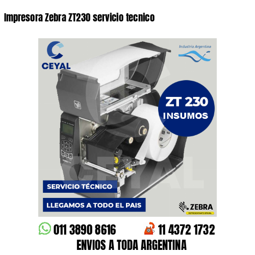 Impresora Zebra ZT230 servicio tecnico