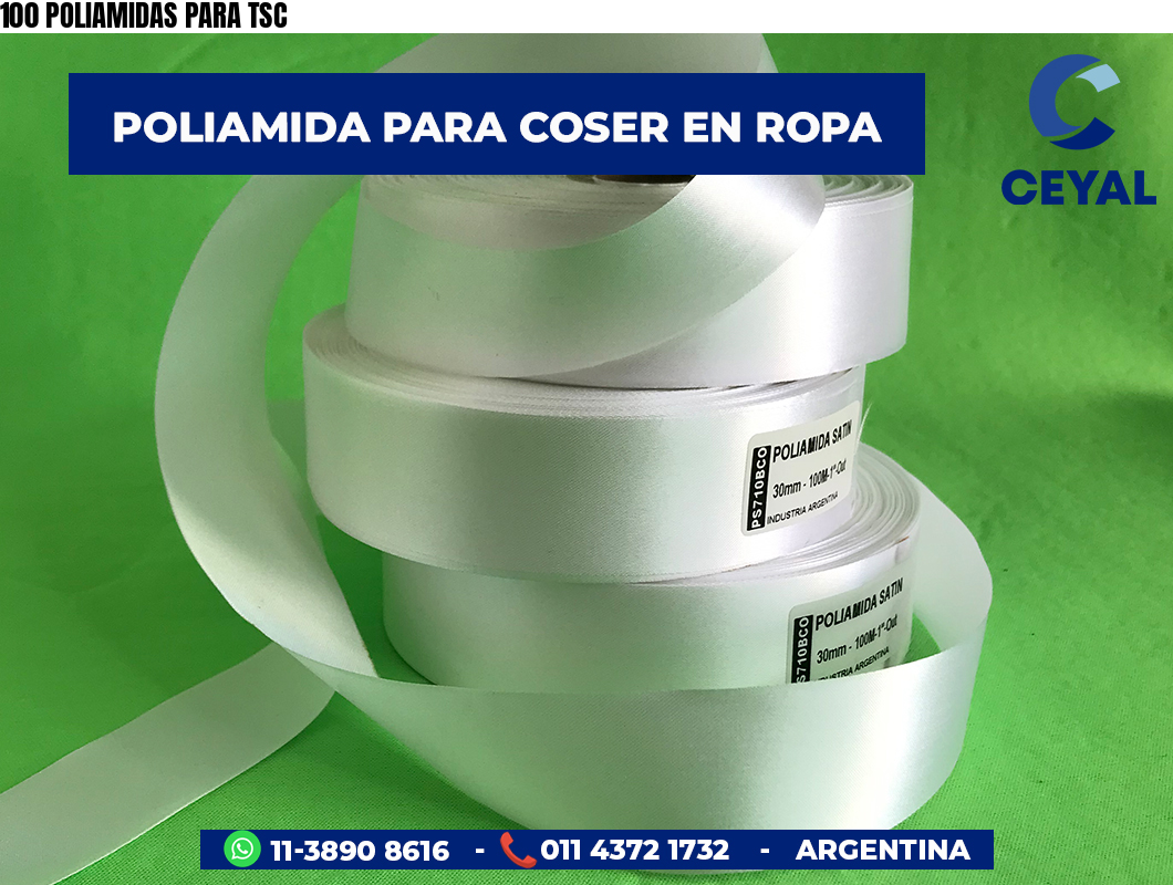 100 POLIAMIDAS PARA TSC