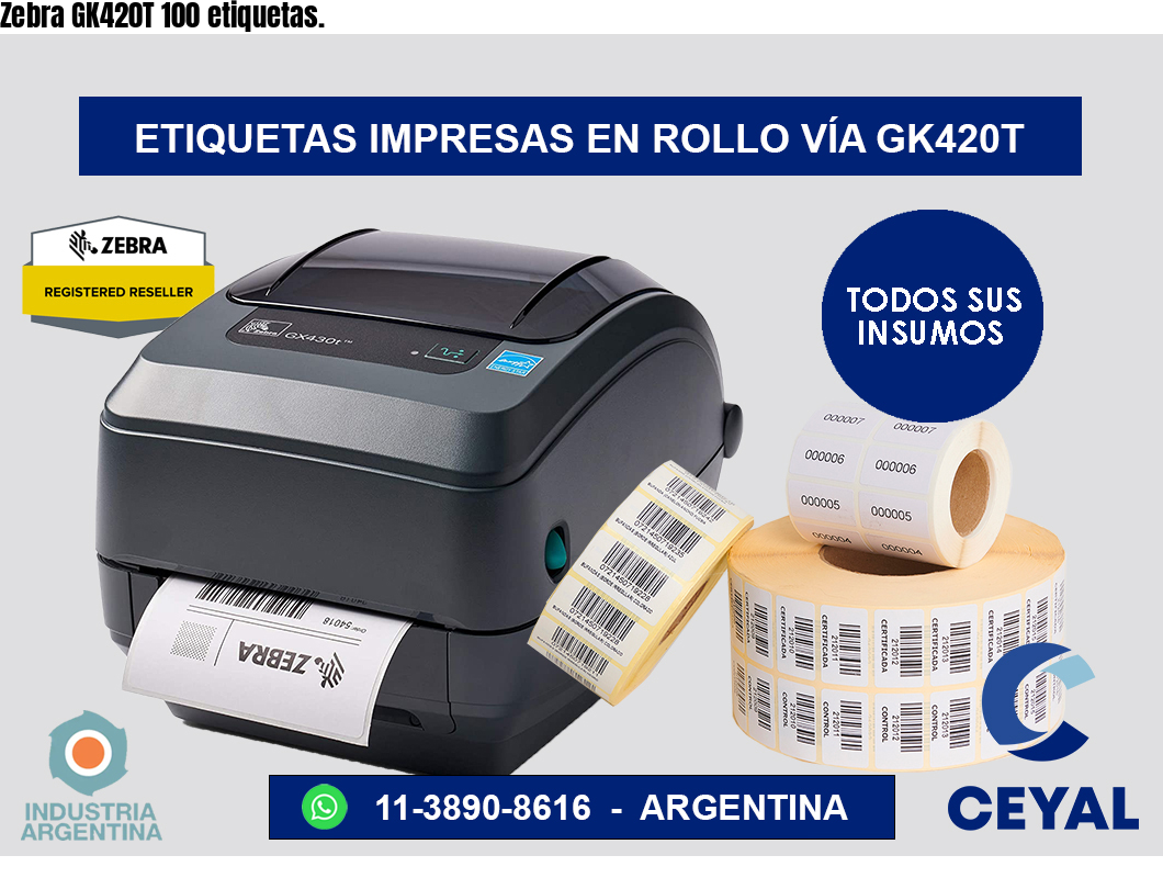 Zebra GK420T 100 etiquetas.