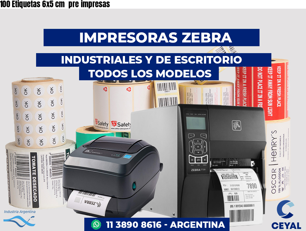 100 Etiquetas 6x5 cm pre impresas