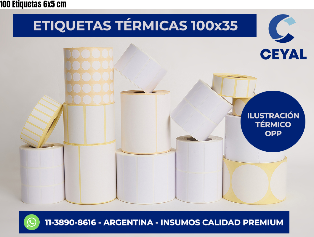 100 Etiquetas 6×5 cm
