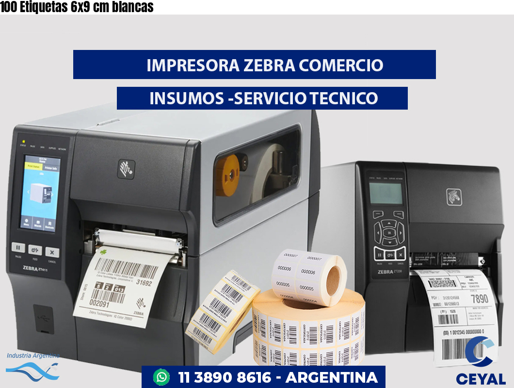 100 Etiquetas 6x9 cm blancas