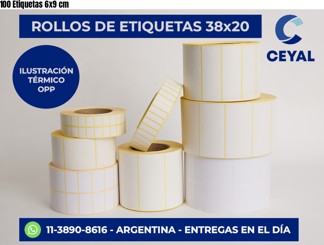 100 Etiquetas 6×9 cm
