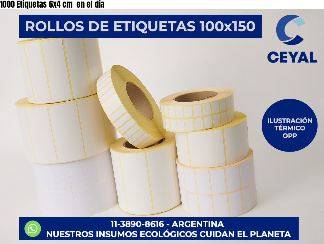1000 Etiquetas 6×4 cm  en el dia