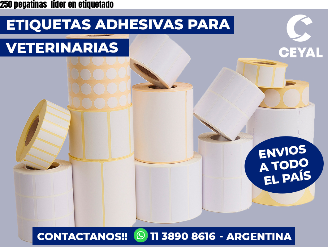 250 pegatinas  líder en etiquetado