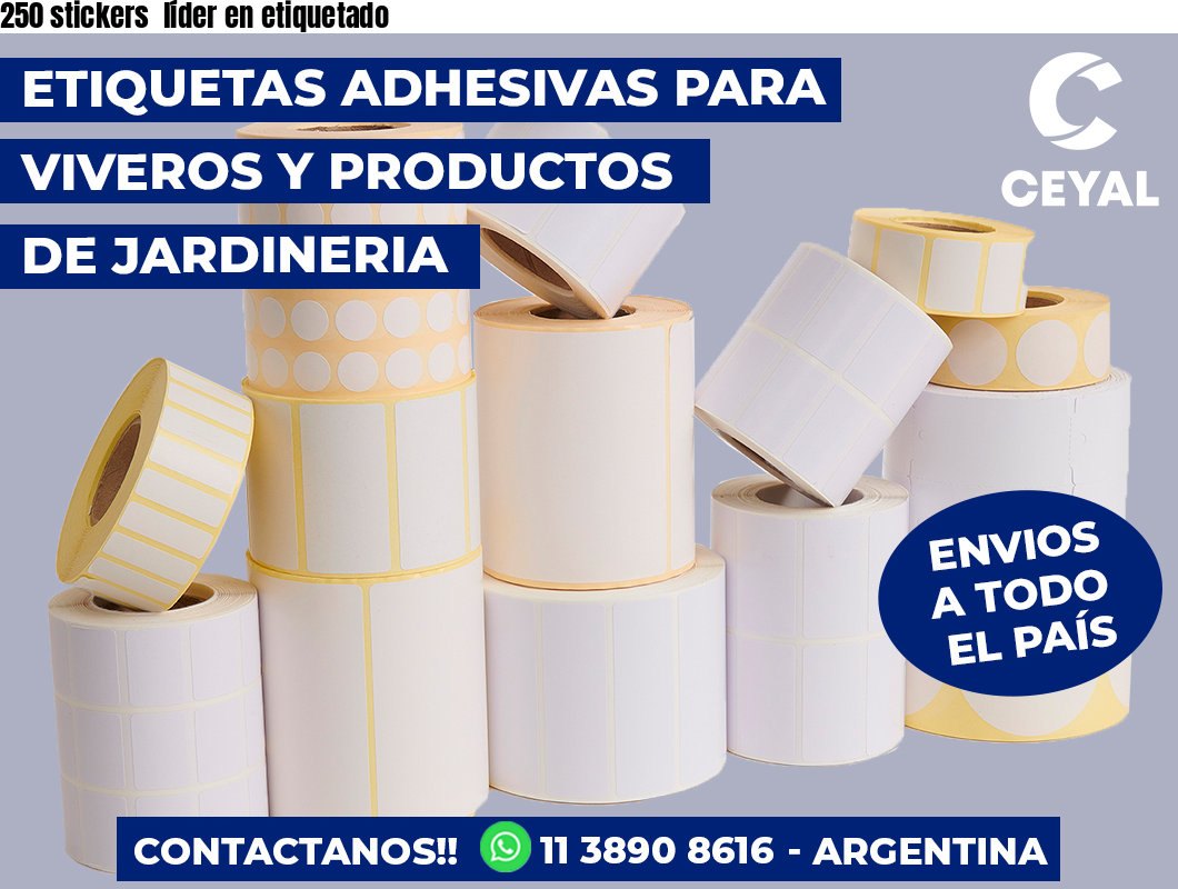 250 stickers líder en etiquetado