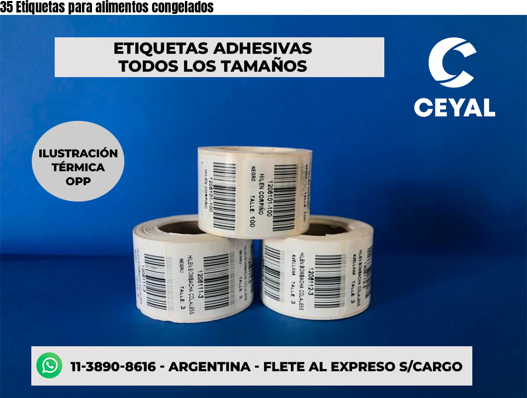 35 Etiquetas para alimentos congelados