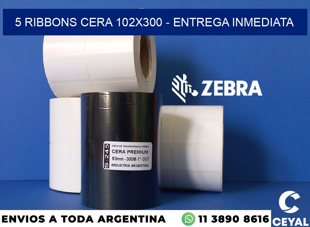 5 Ribbons cera 102x300 - Entrega inmediata