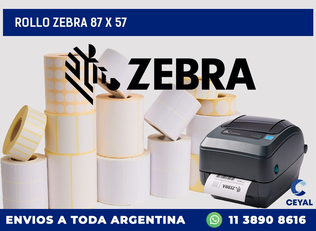 rollo zebra 87 x 57